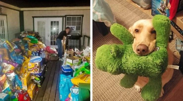 31 Heartwarming Images That Will Make You Believe in the Goodness of Humanity