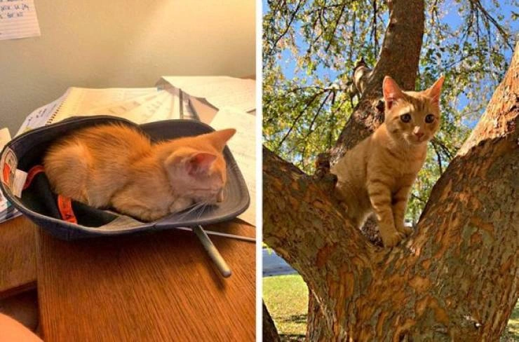 31 Heartwarming Images That Will Make You Believe in the Goodness of Humanity