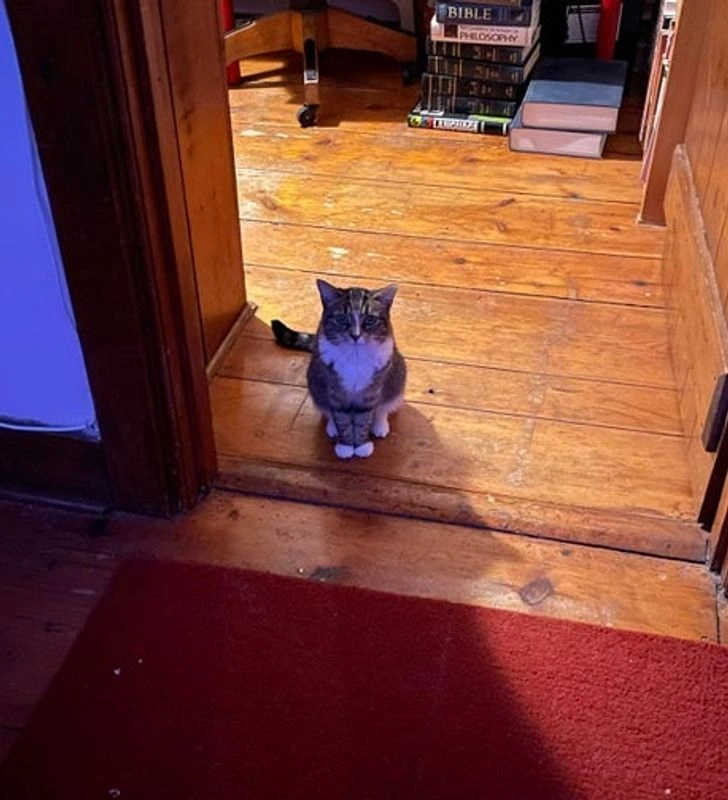 19 Heartwarming Moments Bringing Joy During the Winter Months