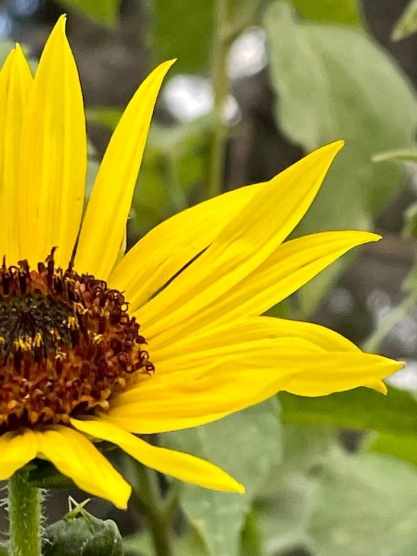 26 Heartwarming Posts to Brighten Your Day