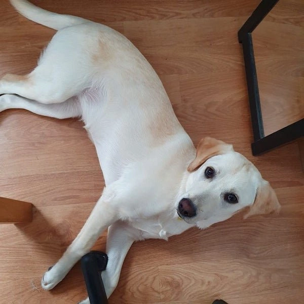 26 Heartwarming Posts to Brighten Your Day