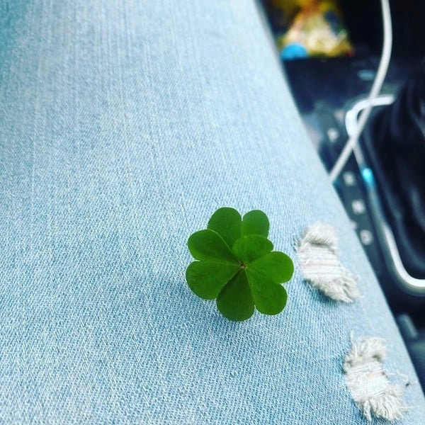 26 Heartwarming Posts to Brighten Your Day