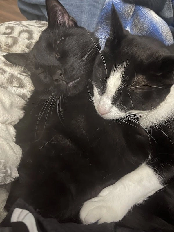 26 Heartwarming Posts to Brighten Your Day