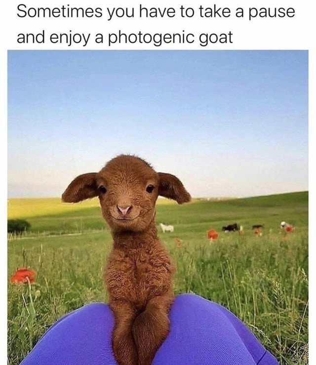 64 Uplifting Memes and Posts That Brought Joy to Our Day