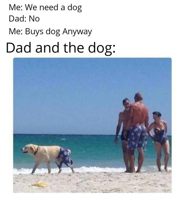 64 Uplifting Memes and Posts That Brought Joy to Our Day