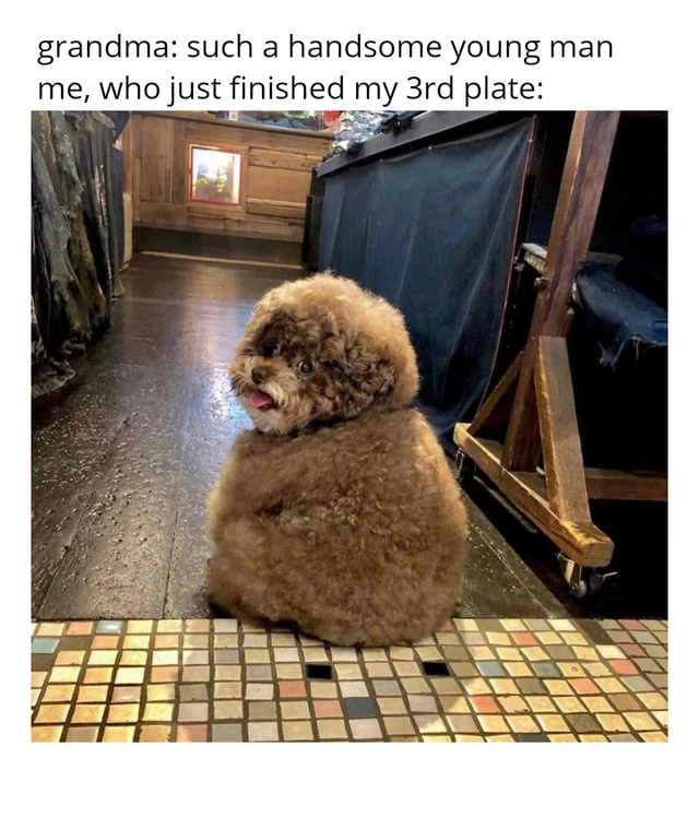 64 Uplifting Memes and Posts That Brought Joy to Our Day