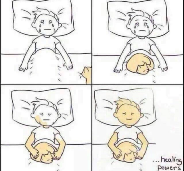 64 Uplifting Memes and Posts That Brought Joy to Our Day