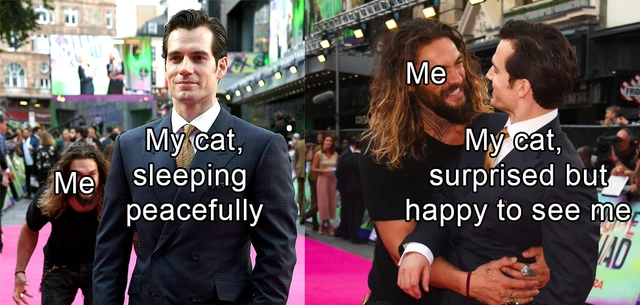 64 Uplifting Memes and Posts That Brought Joy to Our Day