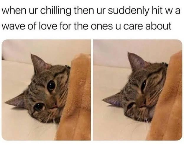 64 Uplifting Memes and Posts That Brought Joy to Our Day