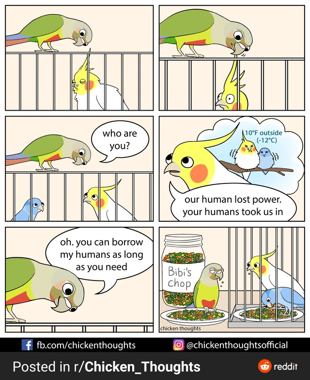 64 Uplifting Memes and Posts That Brought Joy to Our Day