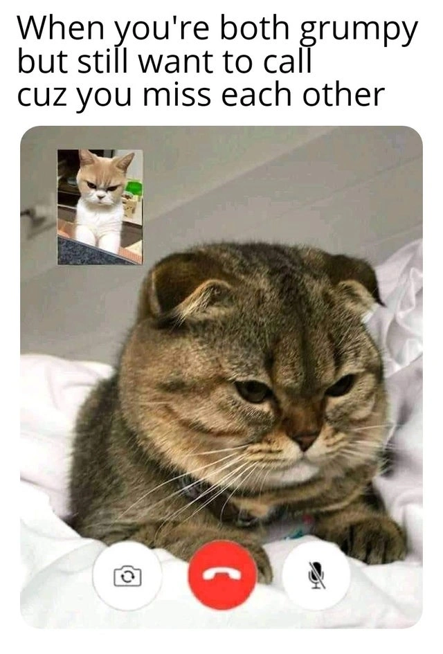 64 Uplifting Memes and Posts That Brought Joy to Our Day