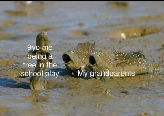 64 Uplifting Memes and Posts That Brought Joy to Our Day