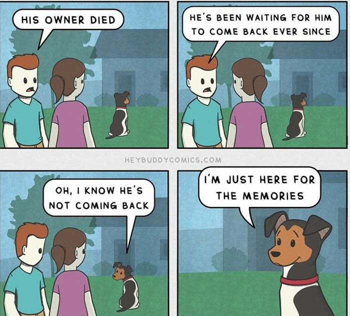 20 Heartwarming Images That Brought Joy to Our Hearts