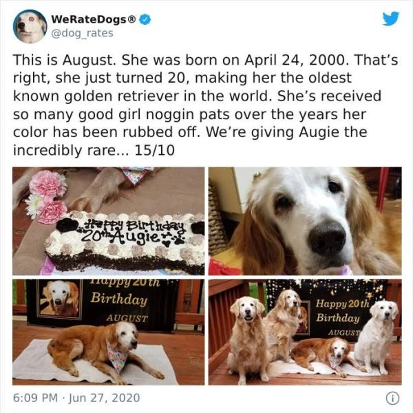 48 Heartwarming Posts From 'WeRateDogs'