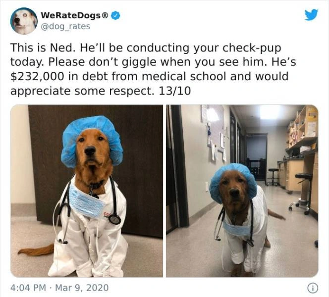 48 Heartwarming Posts From 'WeRateDogs'