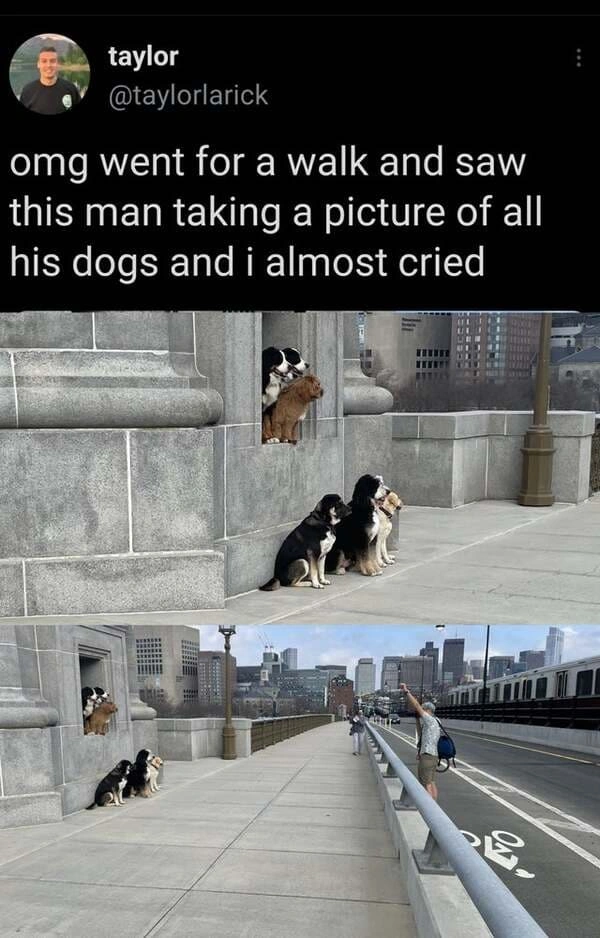 21 Heartwarming Posts Guaranteed to Brighten Your Day