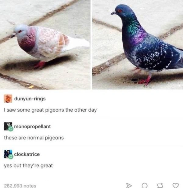 34 Classic Wholesome Memes: A Blast from the Past