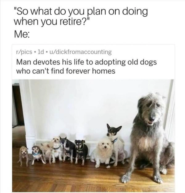 34 Classic Wholesome Memes: A Blast from the Past