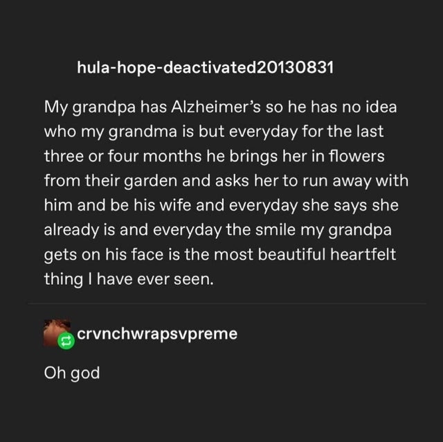 50 Heartwarming Images and Memes to Brighten Your Day