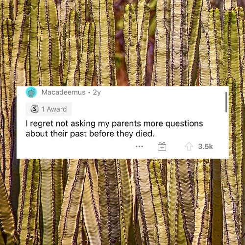 21 Individuals Reflect on Their Greatest Life Regrets