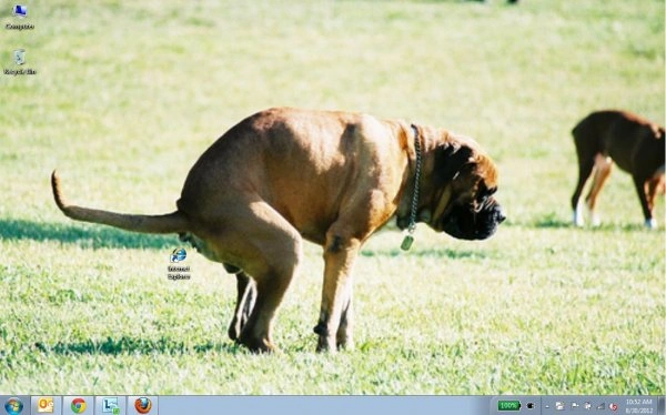 Thirsty Thursday Kicks Off with an Early Celebration of Internet Explorer's Demise (21 Photos)