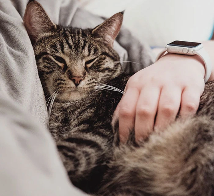 33 Individuals Share The Question That Completely Shattered Them