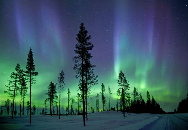 42 Captivating Images to Sink Your Teeth Into