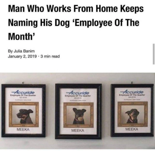 36 Uplifting Posts Bringing Joy to Our Hearts