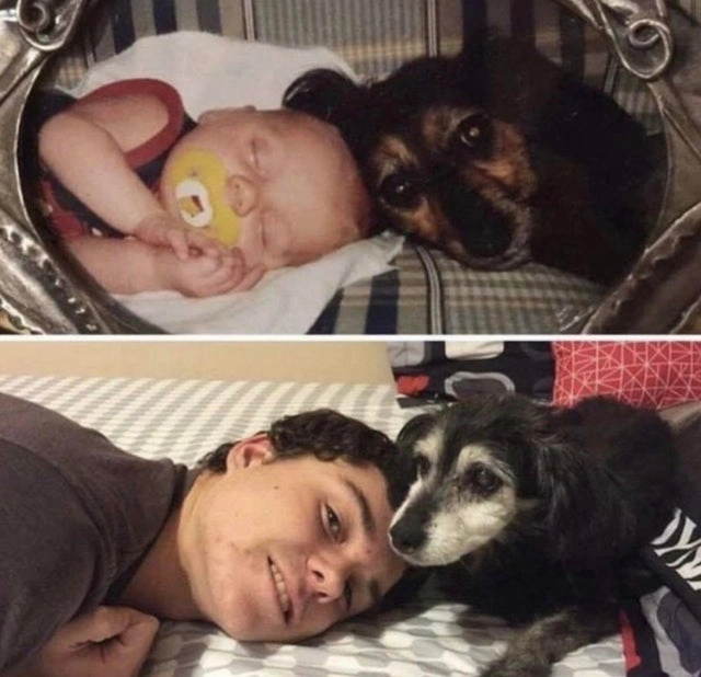 36 Uplifting Posts Bringing Joy to Our Hearts