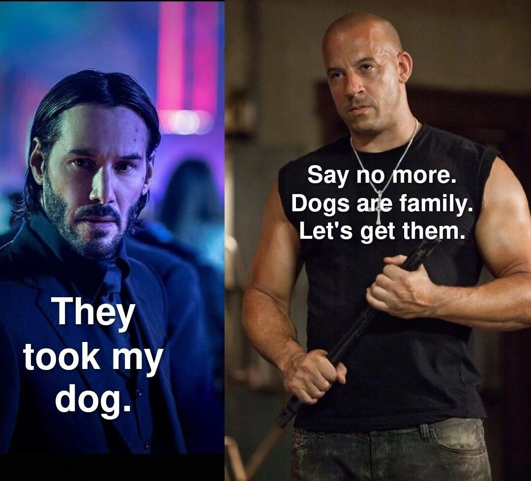 22 Hilarious Vin Diesel Family Memes That Are Dominating the Web