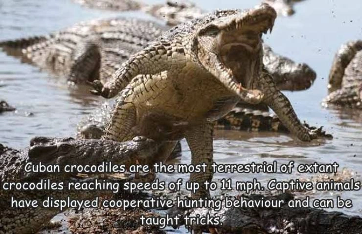 30 Heartwarming Moments That Moms Can't Resist Sharing on Facebook