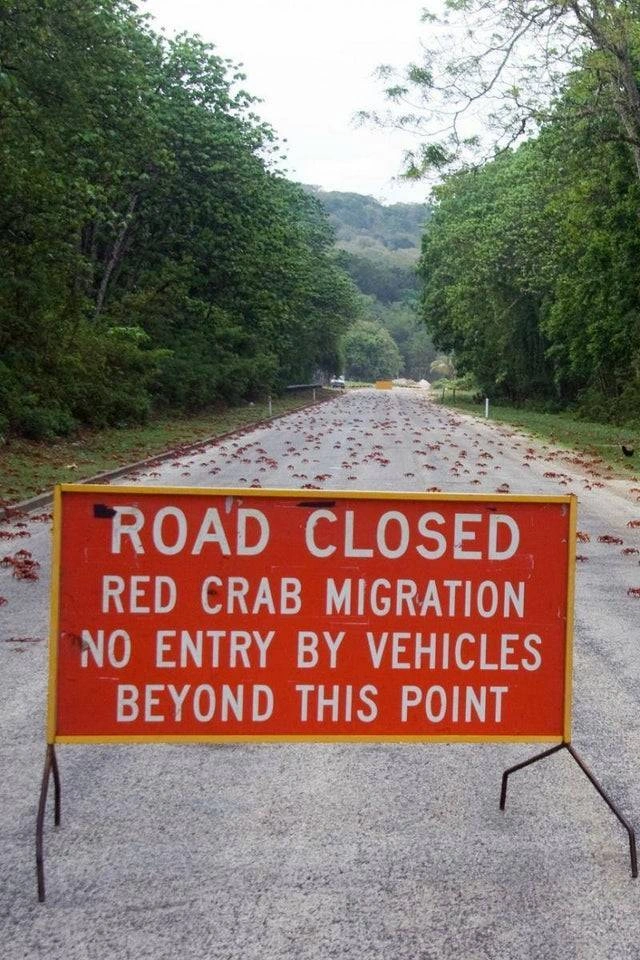 30 Heartwarming Moments That Moms Can't Resist Sharing on Facebook