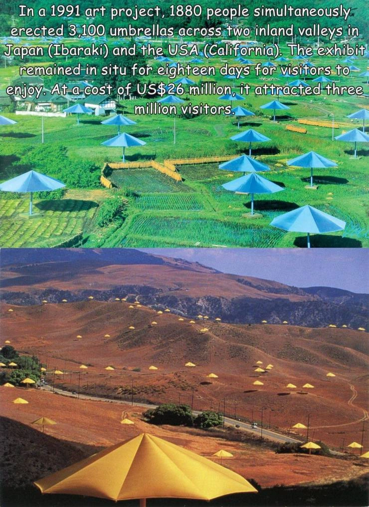 30 Heartwarming Moments That Moms Can't Resist Sharing on Facebook