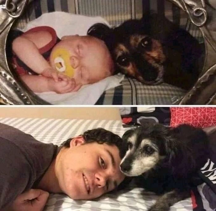 31 Heartwarming Images and Memes to Brighten Your Day and Appreciate Life's Moments