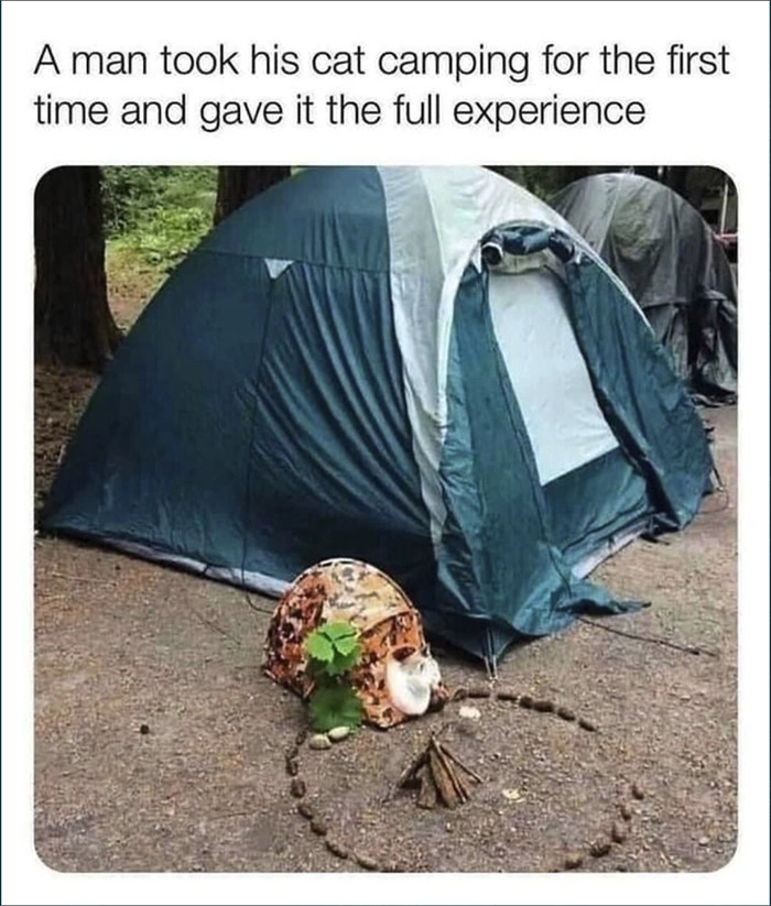20 Heartwarming Posts That Warmed Our Hearts