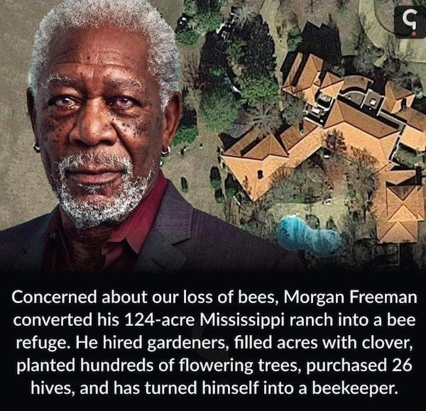 27 Captivating Images That Will Reaffirm the Beauty of Life