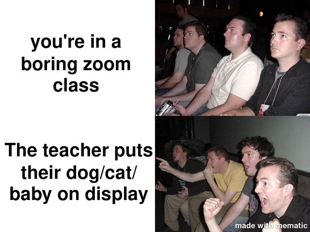75 Heartwarming Images and Memes That Made Our Day Brighter