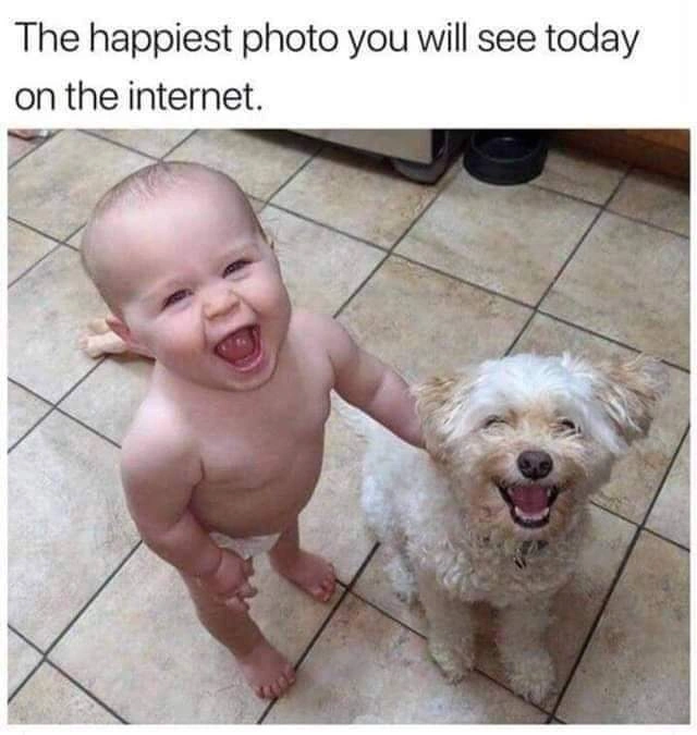 75 Heartwarming Images and Memes That Made Our Day Brighter