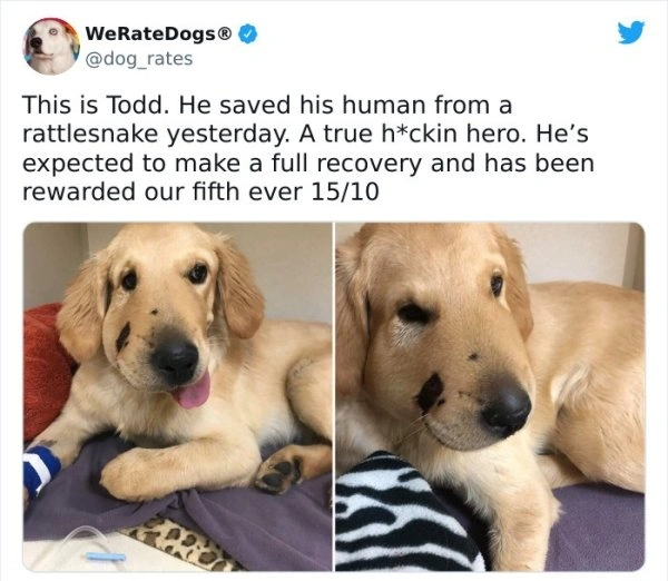 26 Heartwarming Posts That Will Warm Your Heart