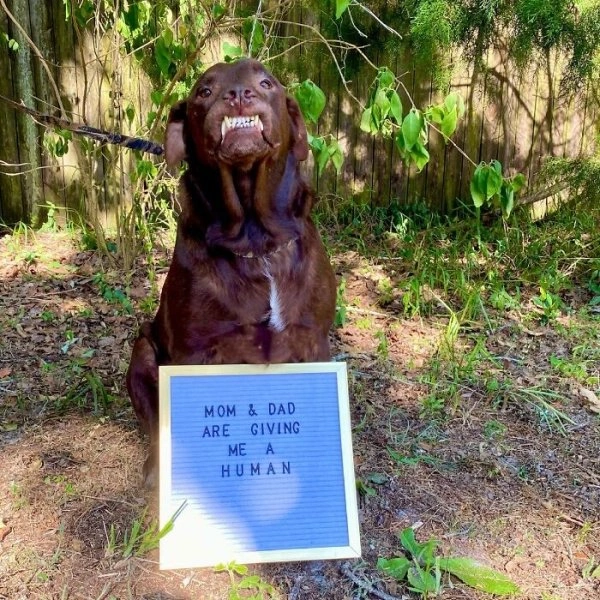 26 Heartwarming Posts That Will Warm Your Heart