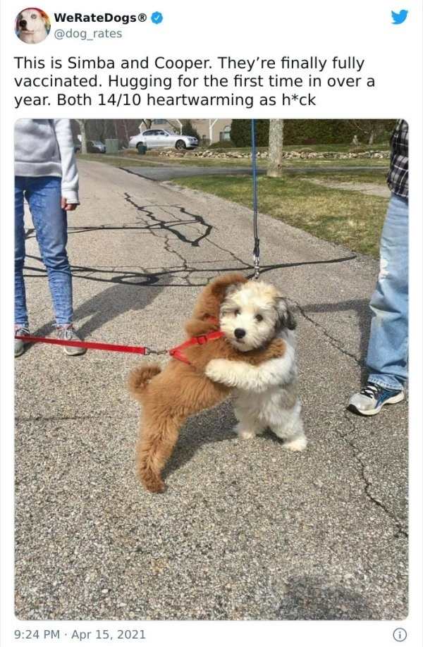 26 Heartwarming Posts That Will Warm Your Heart