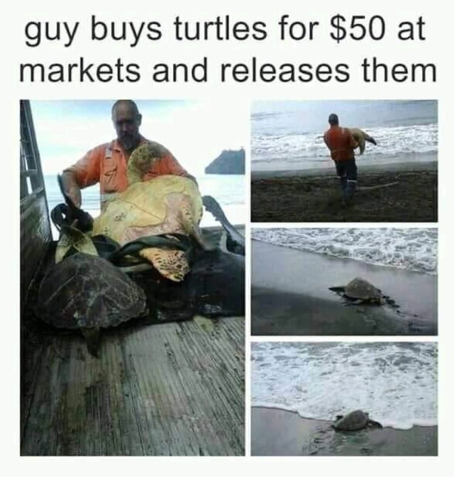 66 Uplifting Posts to Brighten Your Day