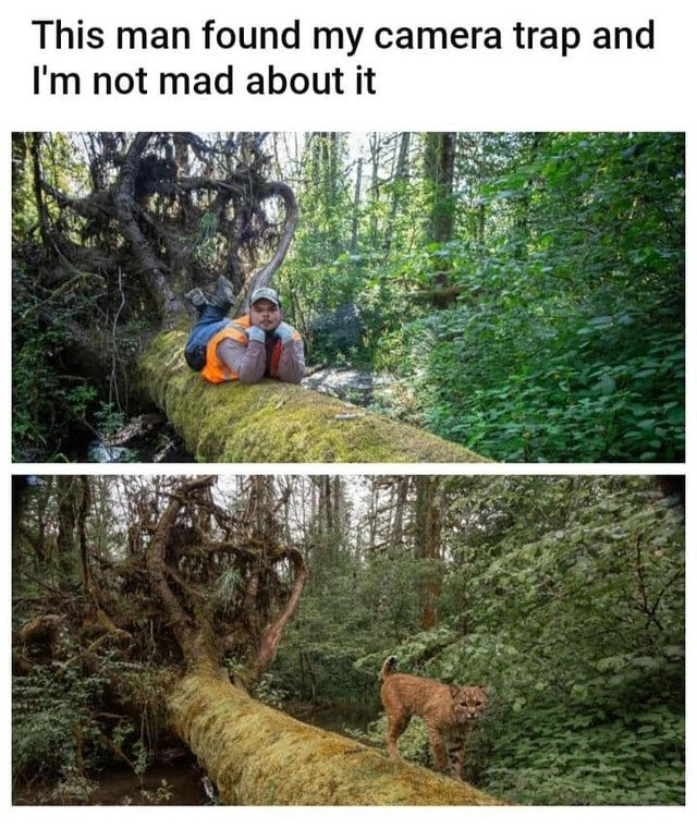 66 Uplifting Posts to Brighten Your Day