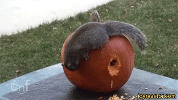 23 Autumn Memes That Are Too Spicy for Denim