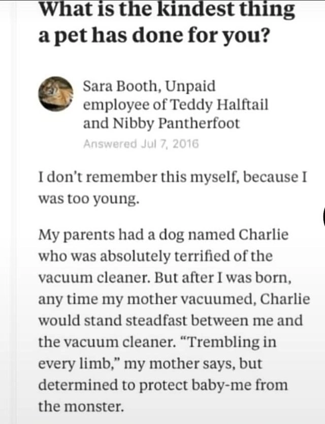 33 Heartwarming Posts That Filled Us With Joy