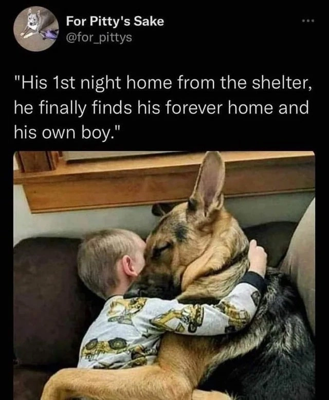 33 Heartwarming Posts That Filled Us With Joy
