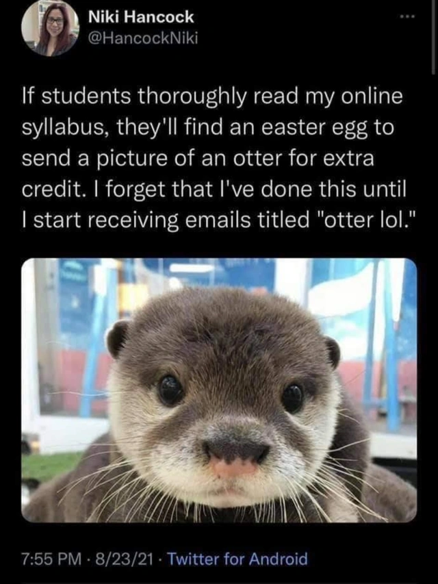 33 Heartwarming Posts That Filled Us With Joy
