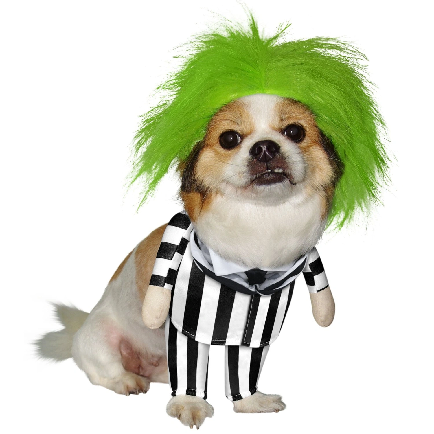 18 Spooktacular Dog Costumes That Will Make Your Pup Look Paw-sitively Cute