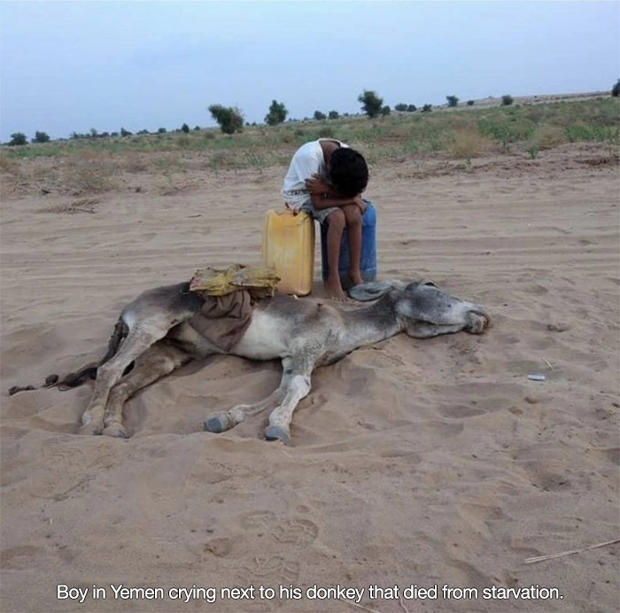43 Photos That Will Make You See Things Differently
