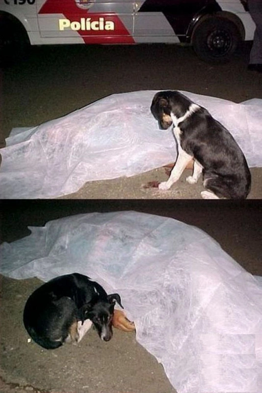 43 Photos That Will Make You See Things Differently